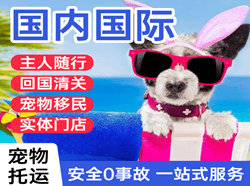 衡阳南岳空运公司国际宠物托运 【国
